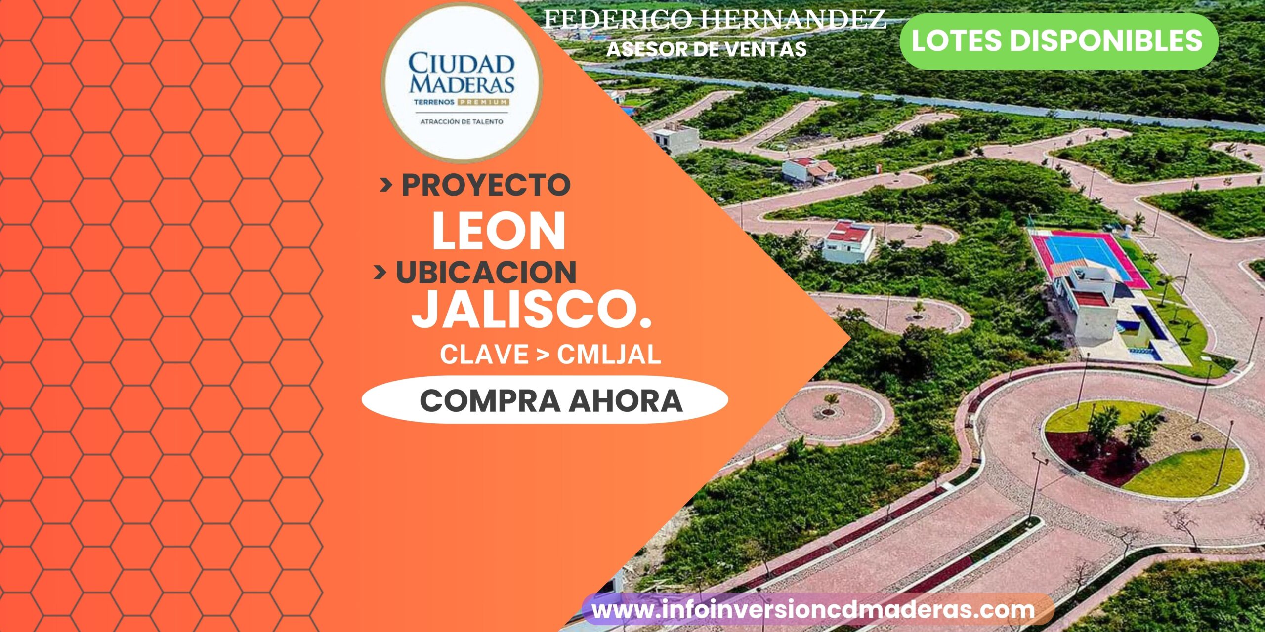 Imagen Leon Jalisco