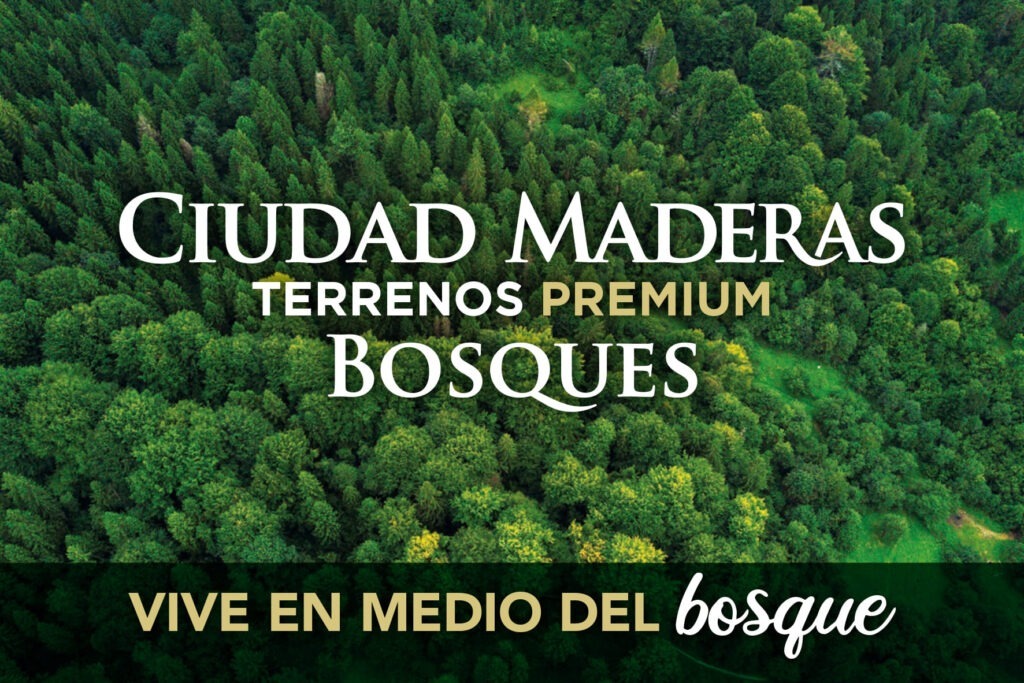 ventas_Ciudad Maderas Bosques_page-0001