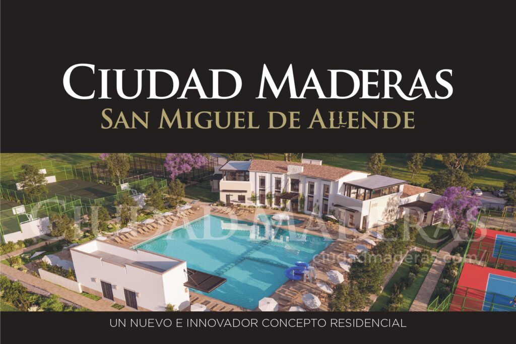 ventas_Cd maderas San Miguel_page-0001