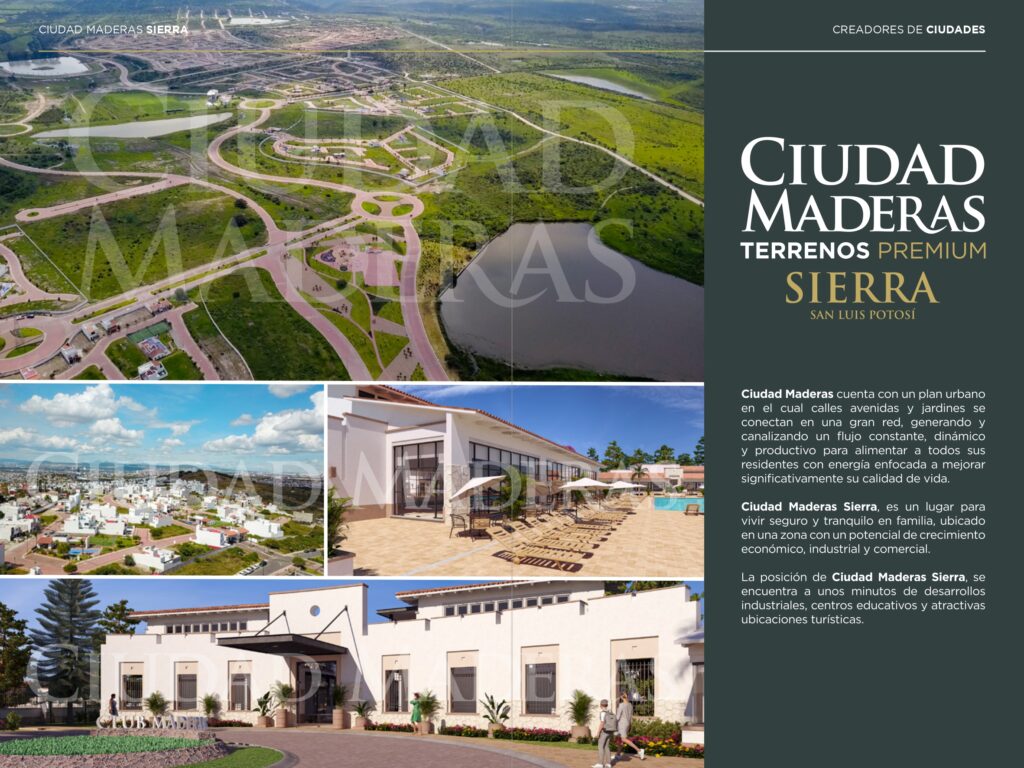 ventas_Cd maderas sierra San Luis_page-0007